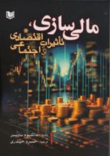 تصویر مالی سازی، تأثیرات اقتصادی و اجتماعی