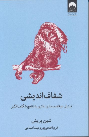 تصویر شفاف‌اندیشی، تبدیل موقعیت های عادی به نتایج شگفت انگیز