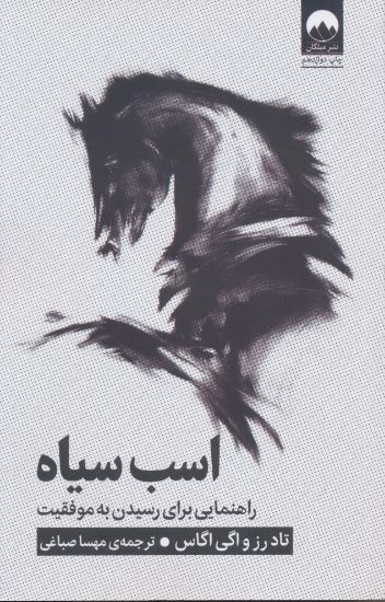 تصویر اسب سیاه، راهنمایی برای رسیدن به موفقیت